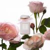 Туалетная вода AERIN Rose de Grasse Pour Filles